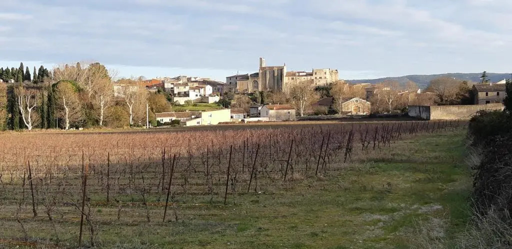 Le jardin bernard PERRIER