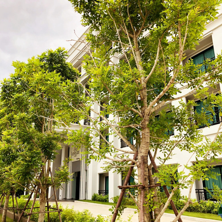 Civilize Hotel
