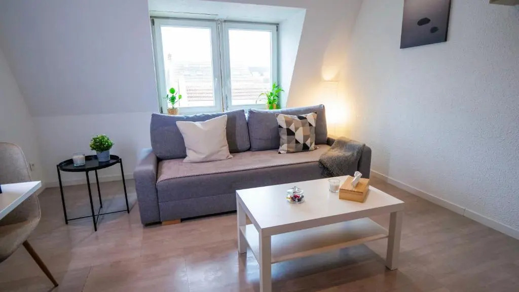 #4 Très beau appartement T3 Neuf, tout confort, Mulhouse centre ville
