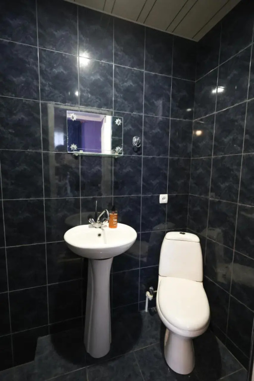 Guest house Evdoshvili St N5