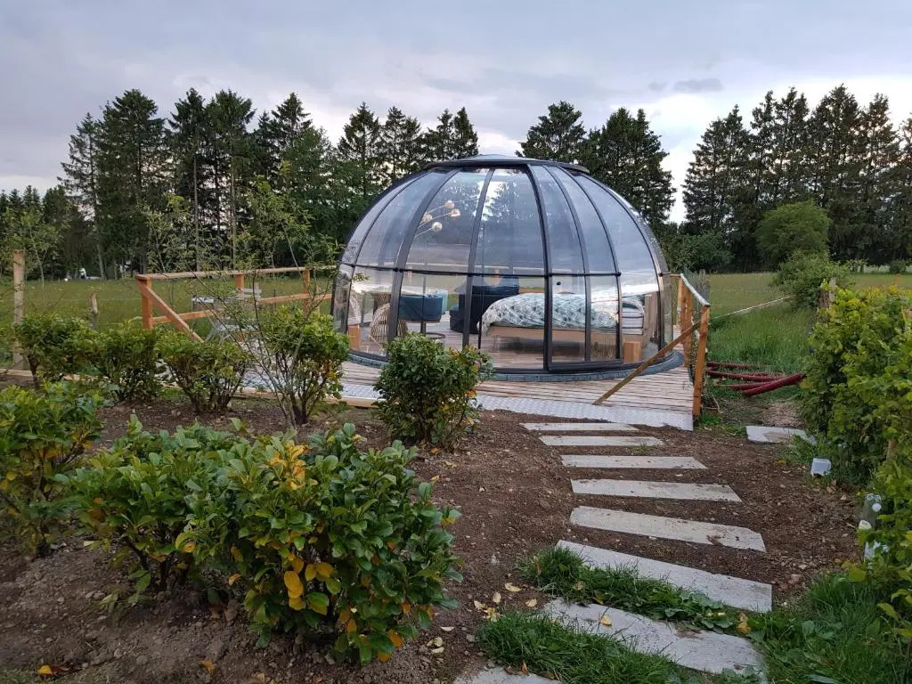 La bulle au bois dormant dovifat