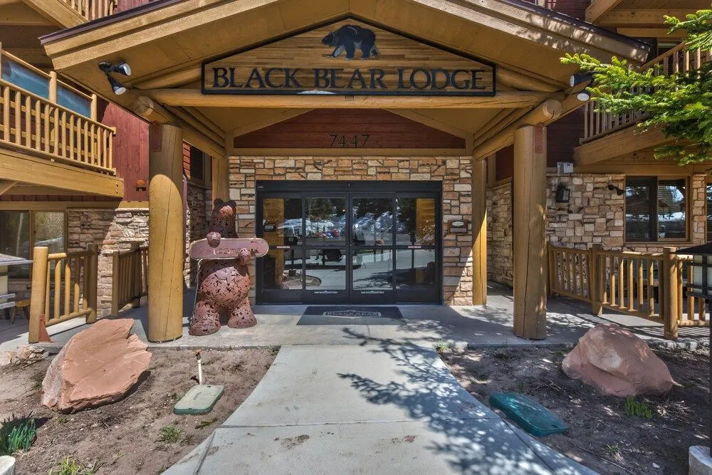 Deer Valley Black Bear 231