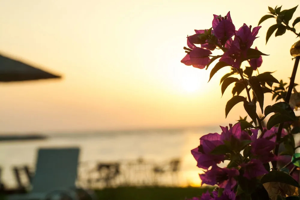 Kyparissia Blue Boutique Hotel