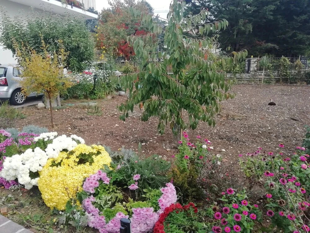 La Nuova Dimora B&B