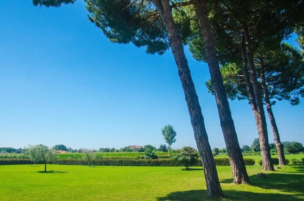 La Campagnola