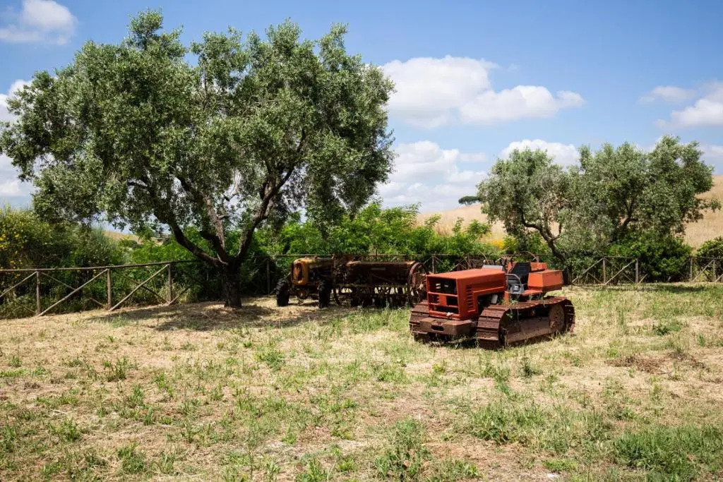 Tenuta Capizucchi
