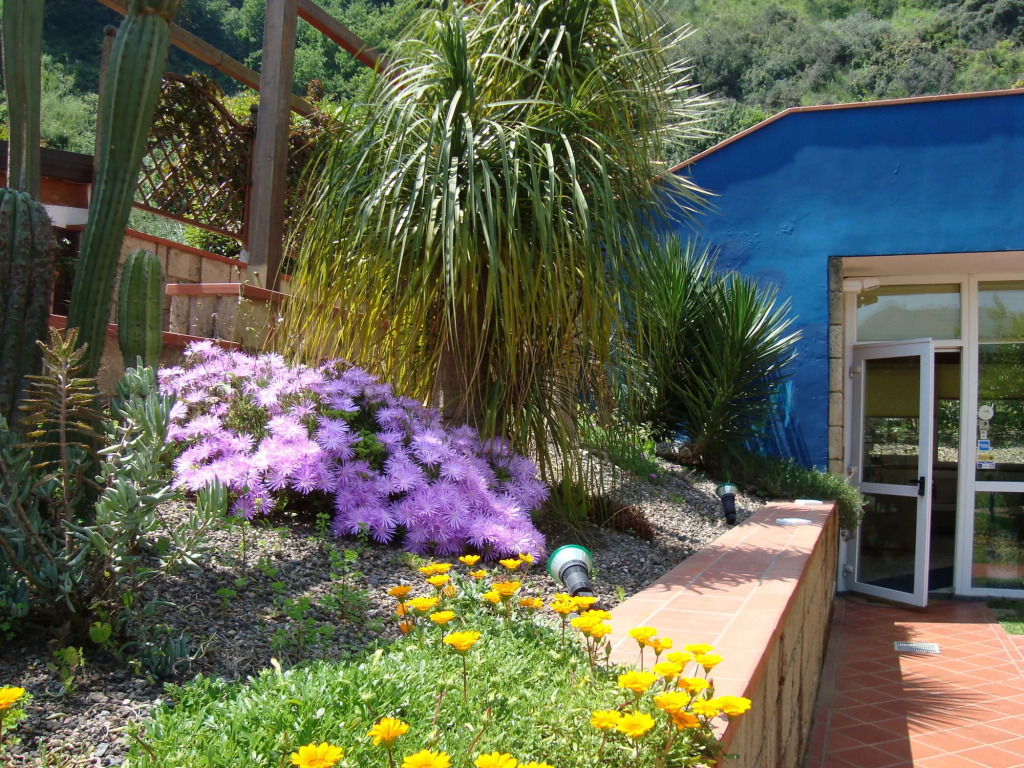 Agave Hotel