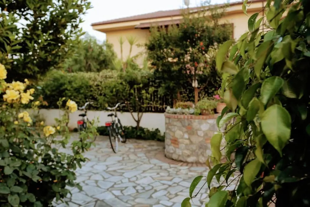 Zama Bed&Breakfast
