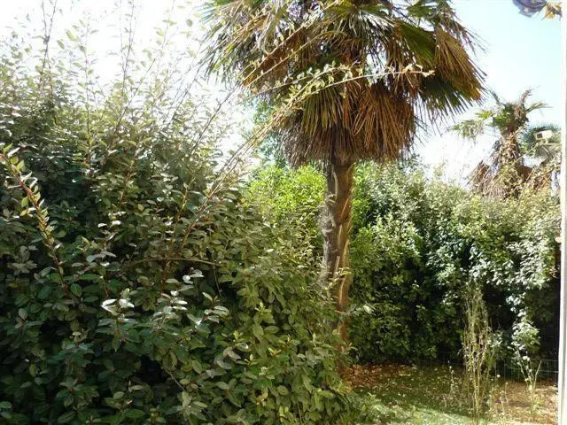 Oasis