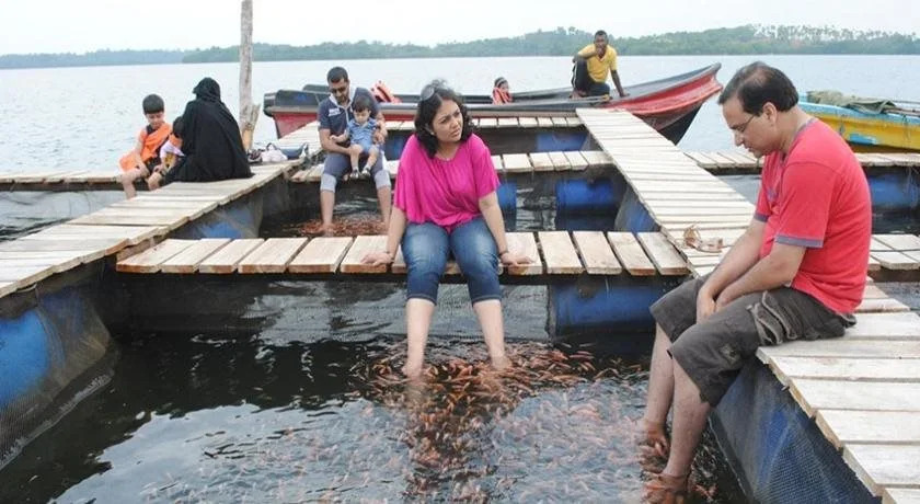 Pelli Riverine