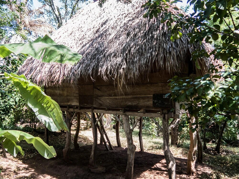 El Zopilote - Hostel