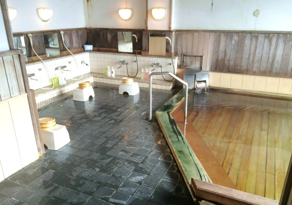 Hotel Koshintei