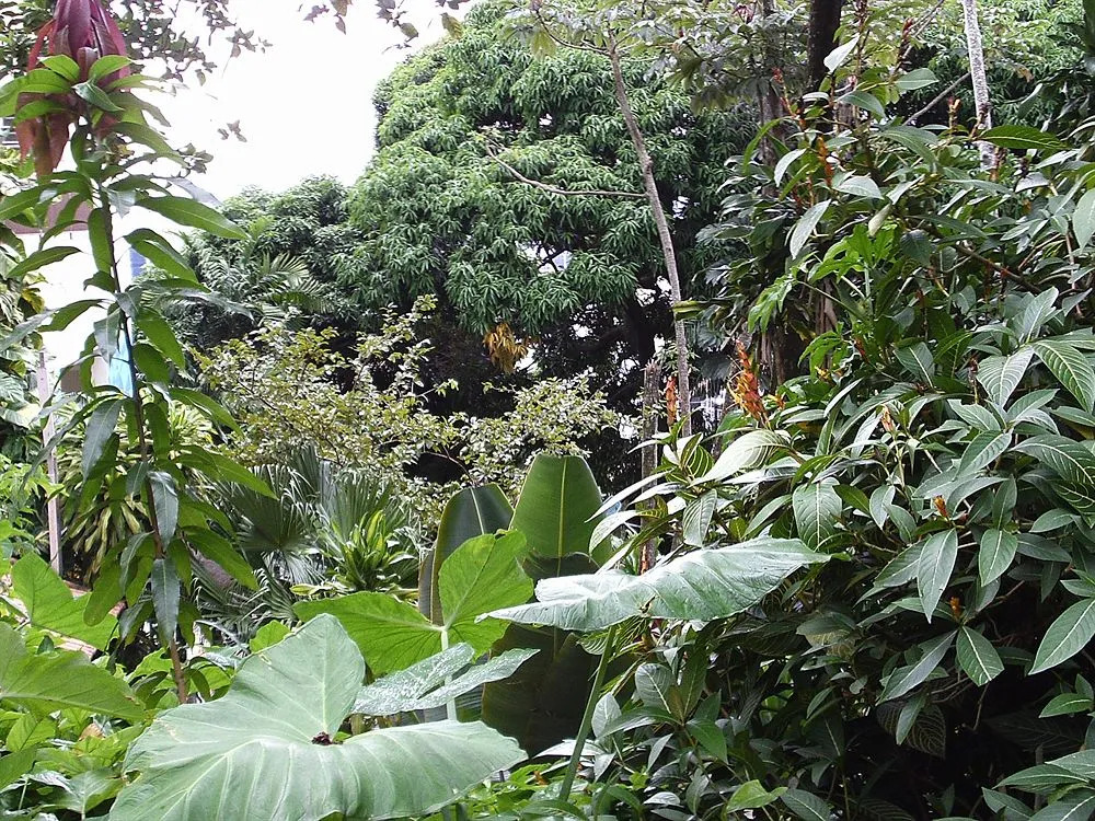 Casa MangoMango