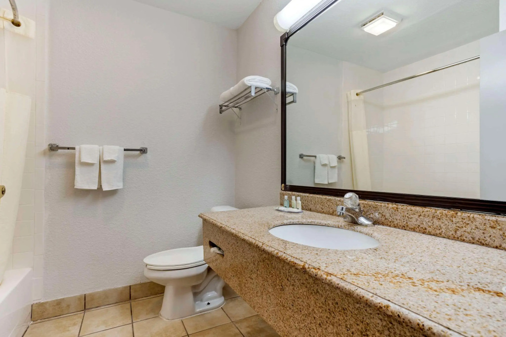 Quality Inn & Suites NRG Park - Medical Center