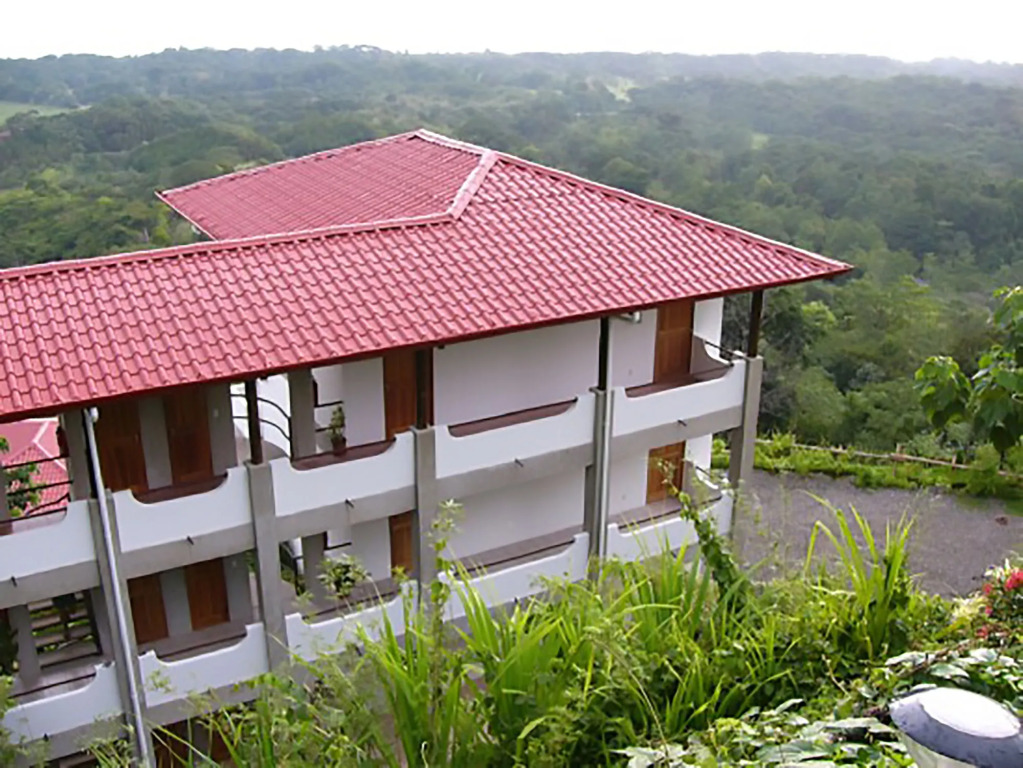 Vista Ballena