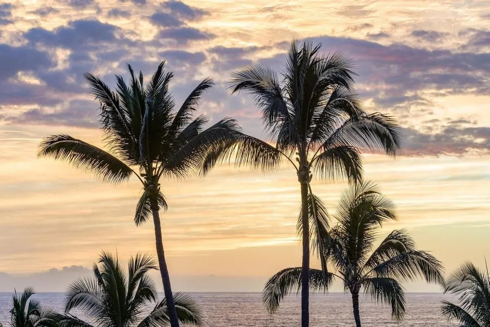 Big Island Aloha Pearl House 4 Bedroom Home