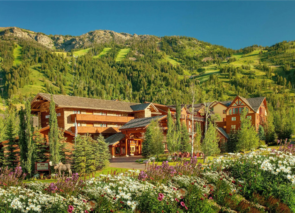Faraway Jackson Hole