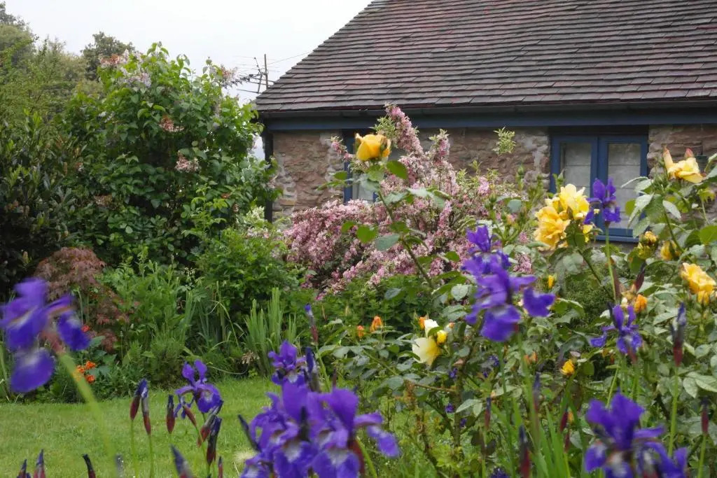 Prospect BARN