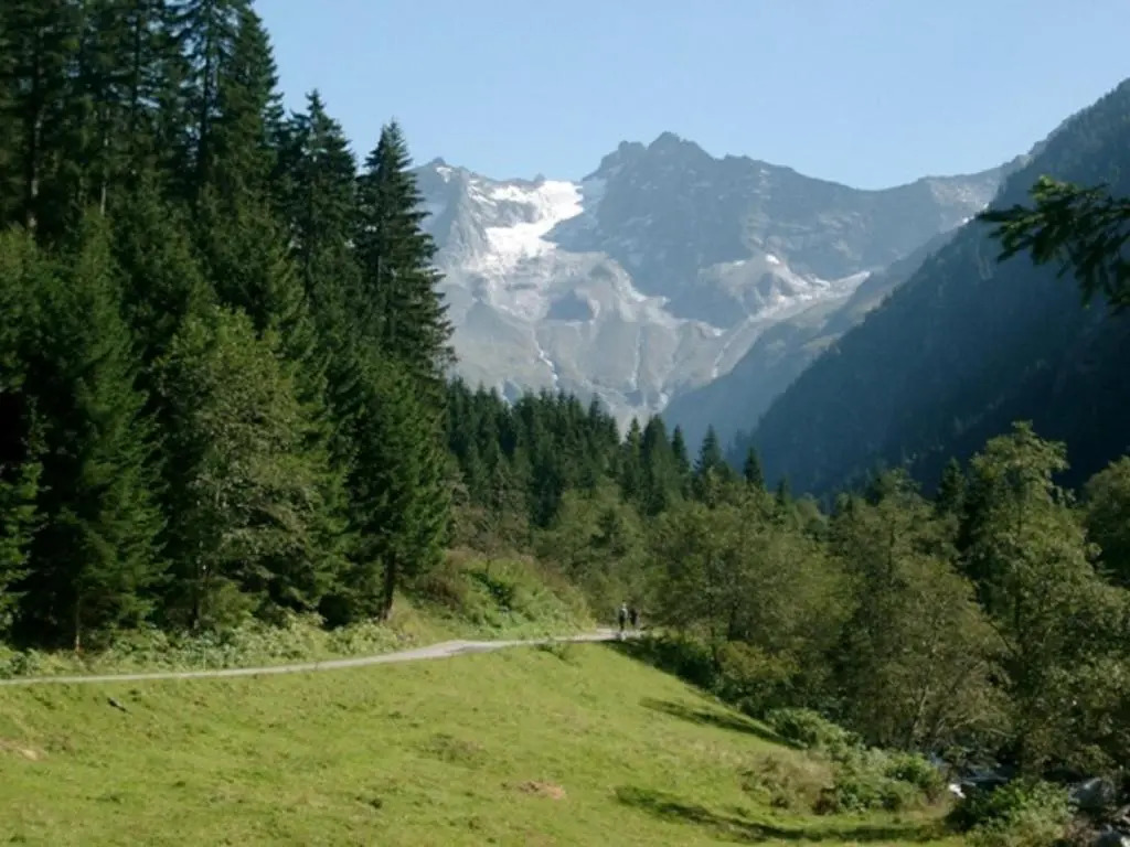 Chalet Helene