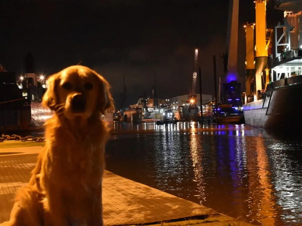 NewPort Weser, NewPort Marina