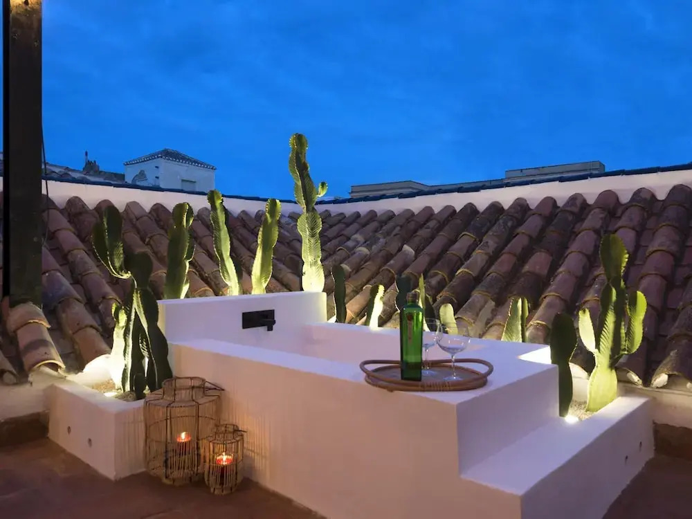 Old City Center Penthouse