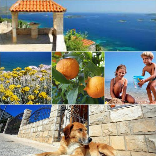 Holiday Home Mirela