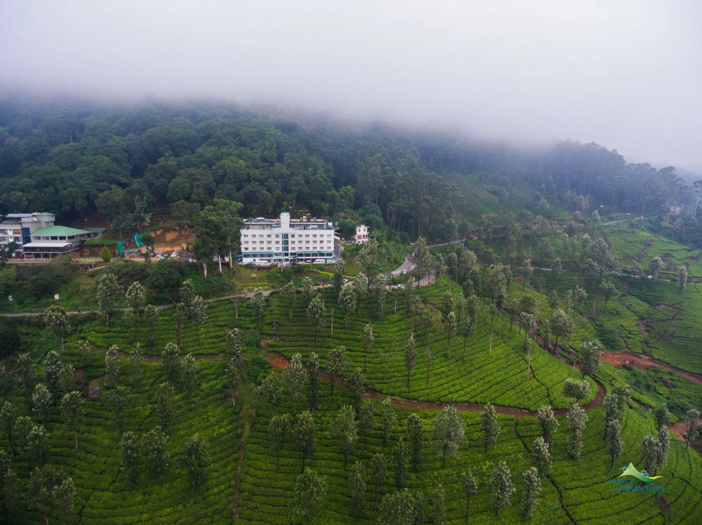 Misty Mountain Resort
