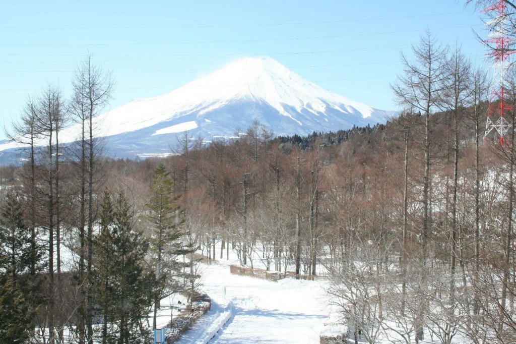 Fuji Marriott Hotel Lake Yamanaka