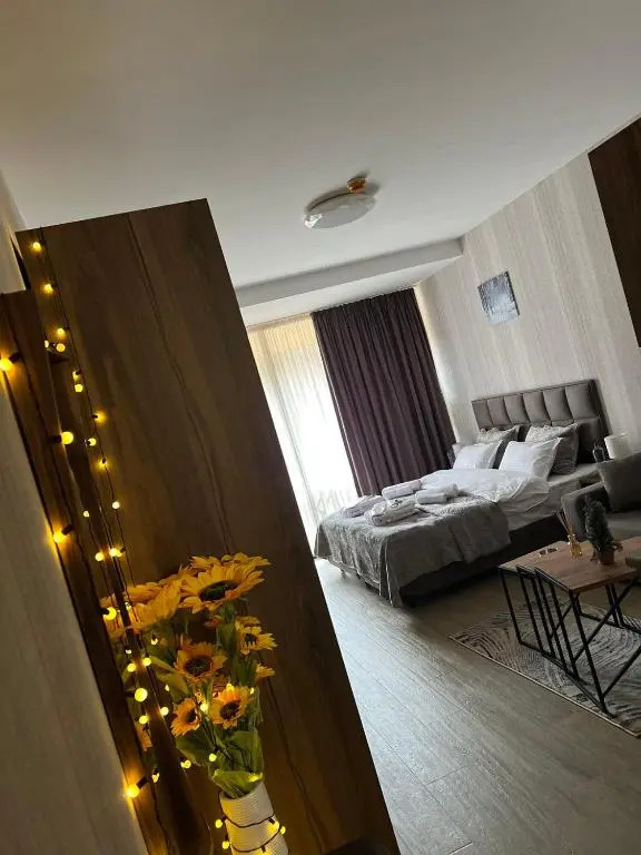 Didveli Gallery Studio Apartment B-408