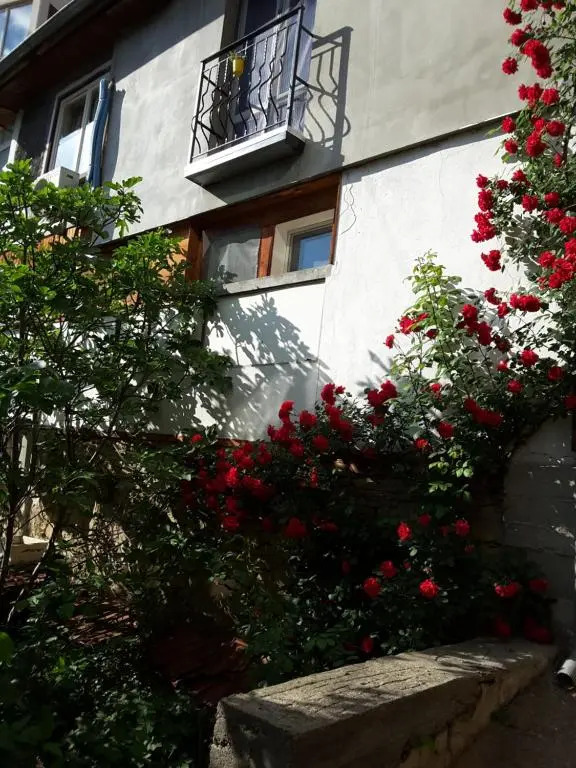 Diana Guesthouse