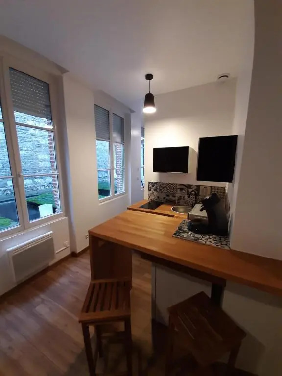 Appartement St remy