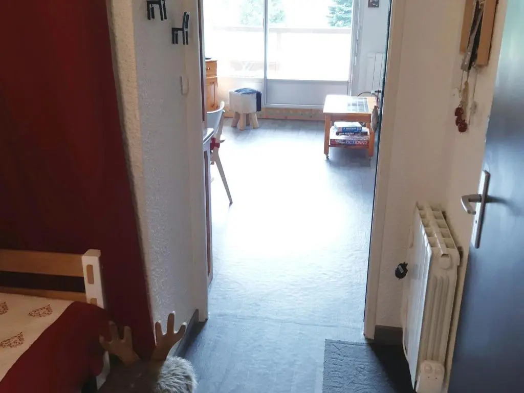 Appartement Les Deux Alpes, 1 pièce, 4 personnes - FR-1-516-90