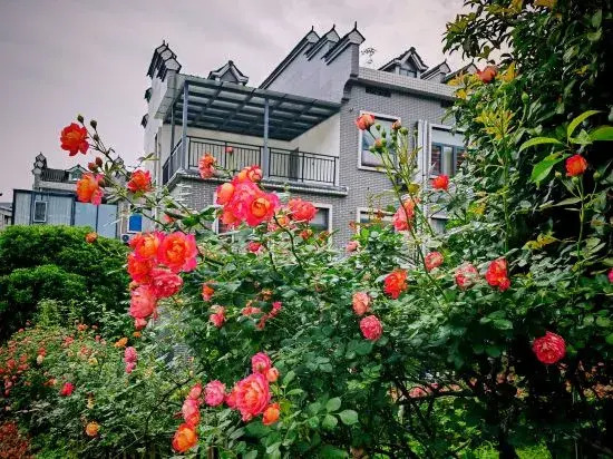 Shanshui Wujian lnn