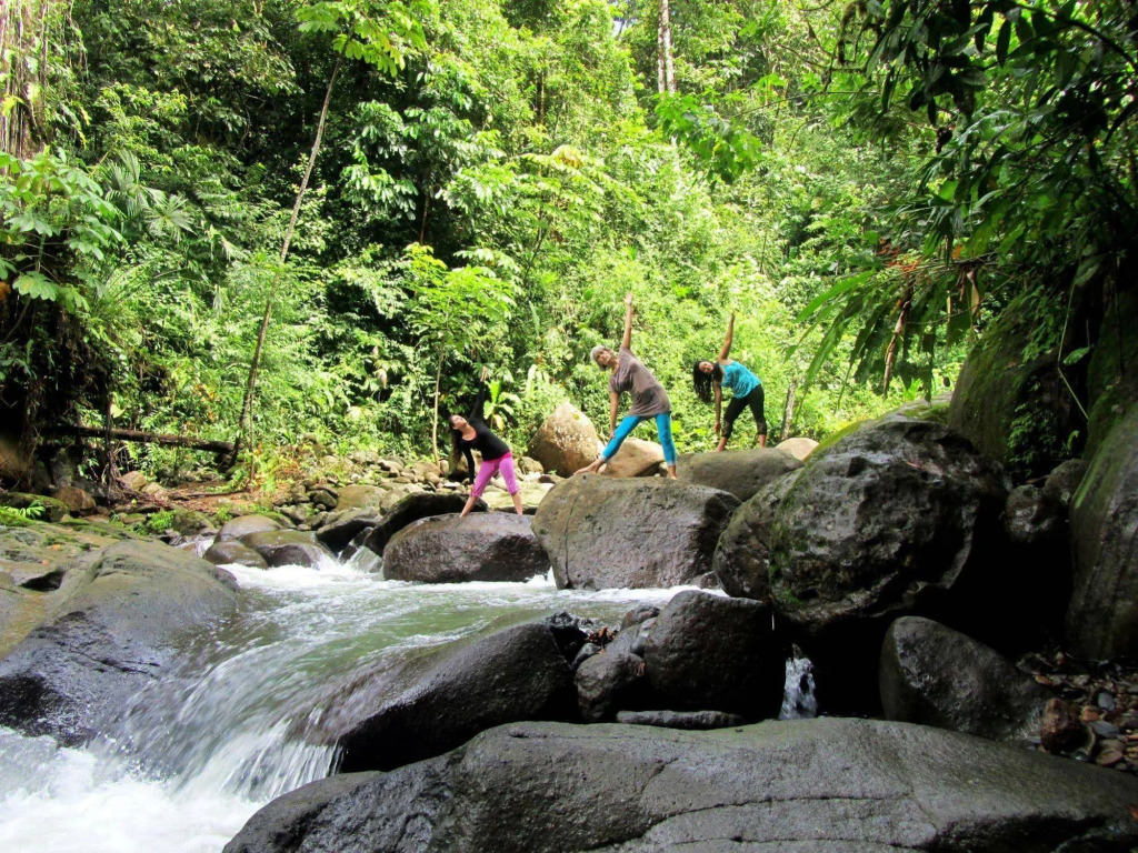 Portasol Rainforest and Ocean View Living