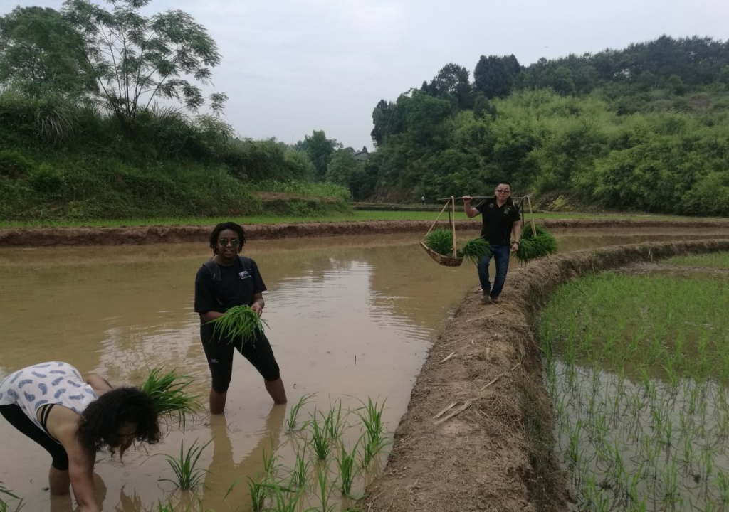 张家界集结号公馆 Zhangjiajie Jijiehao Inn Avator Mountin-National Park-East Gate, Meeting Friends-Common Area-Poor teble-COFFEE-BEER-Laundry-Party, FREE Breakfast, Book tickets in advance, Chinese Calligraphy&Tea&Kung Fu Course
