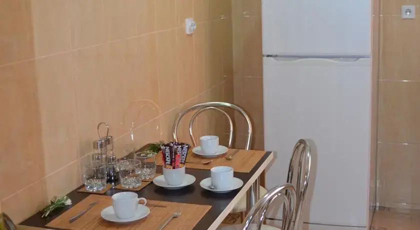 Central House Apartments Bacau
