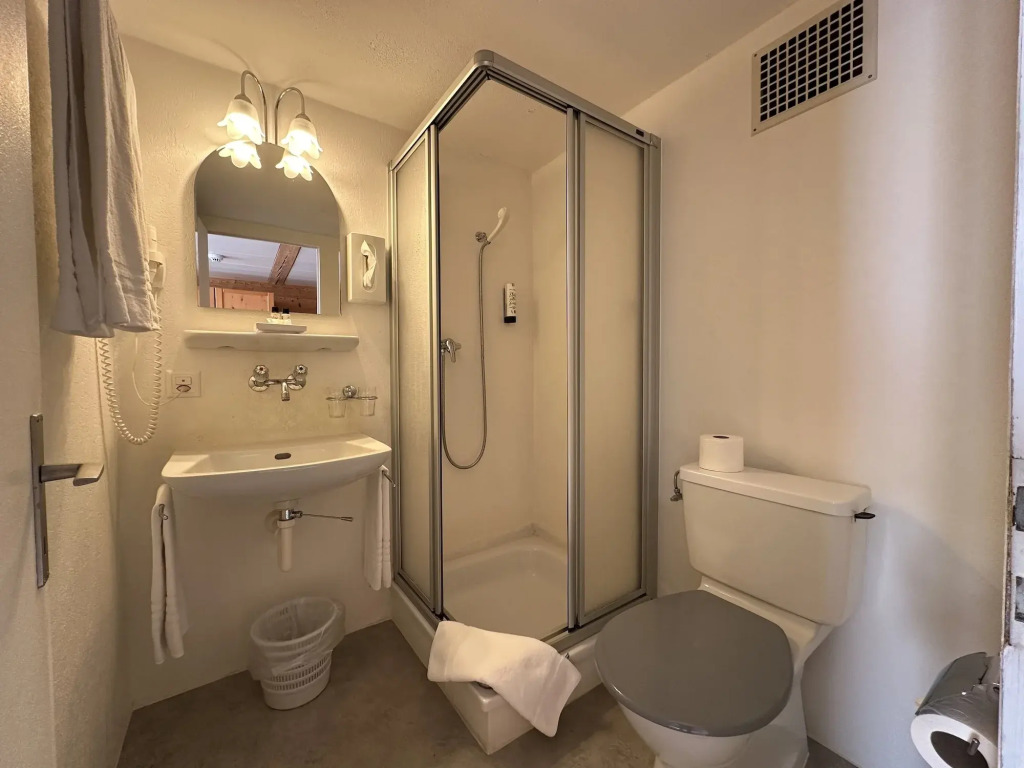 Hotel Chalet Swiss