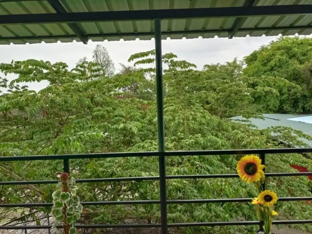 Wild Tusker Homestay Masinagudi by LexStays