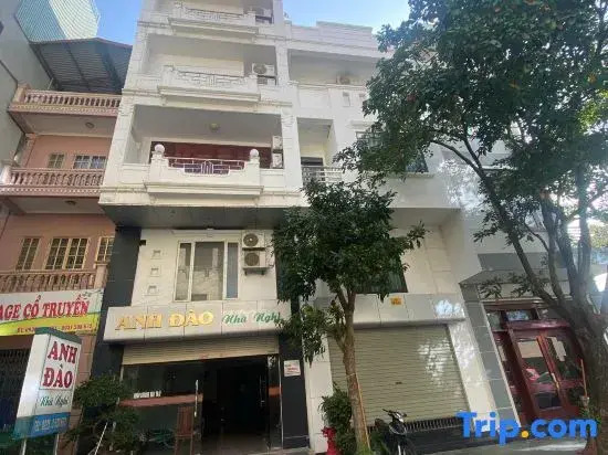 Anh Đào 2 Hotel