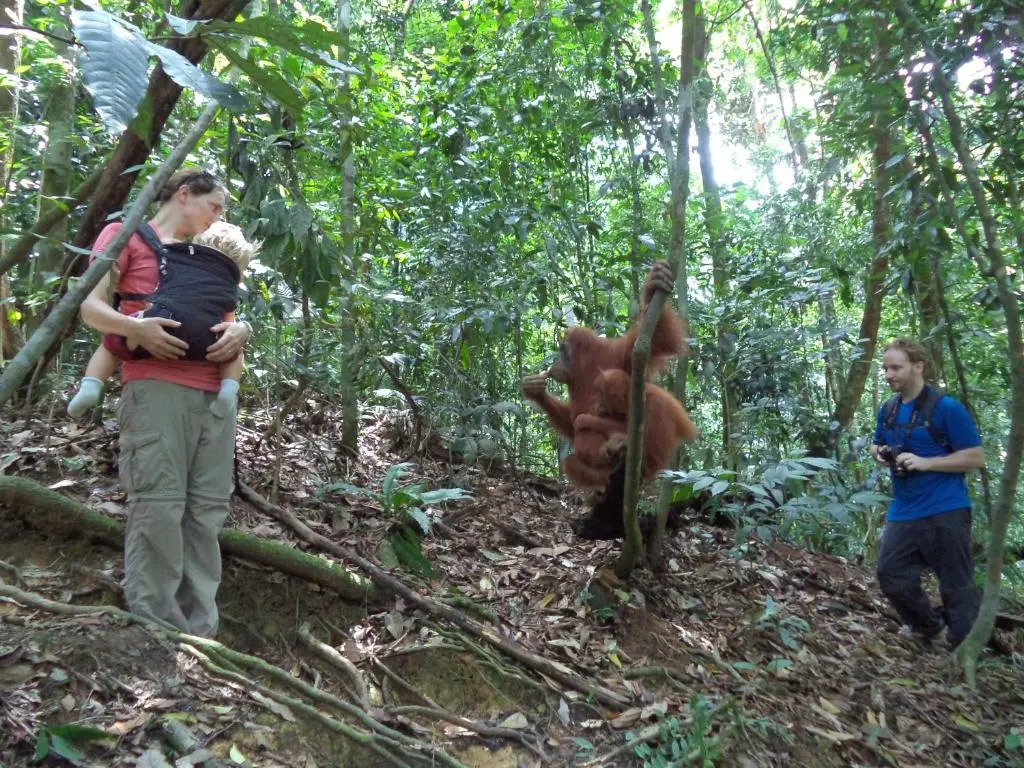 Ida Guest House & JUNGLE TREKKING