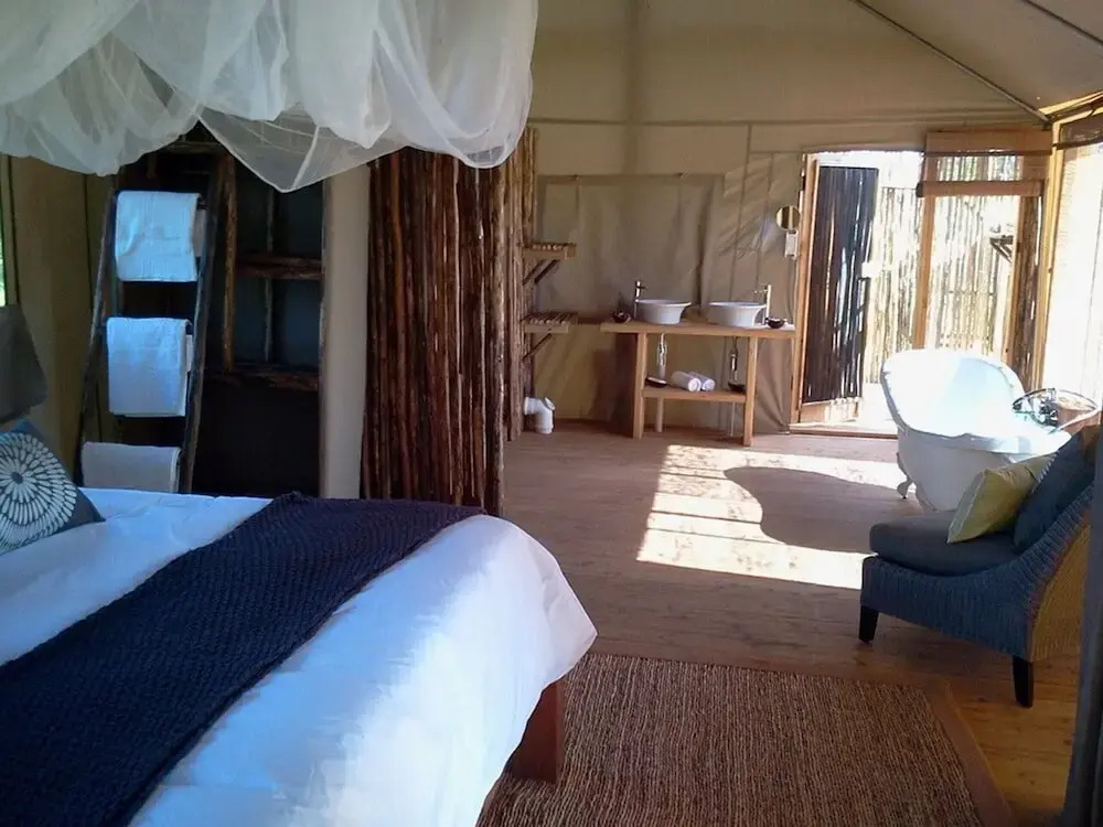Miombo Safari