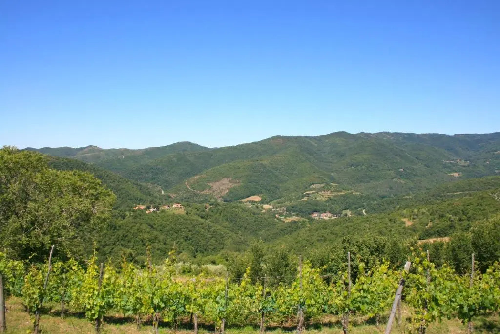 Stunning private villa with private pool, WIFI, TV, pets allowed and parking, close to Cortona