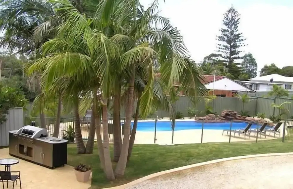 Koala Tree Motel