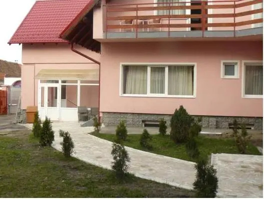 Andy Brasov