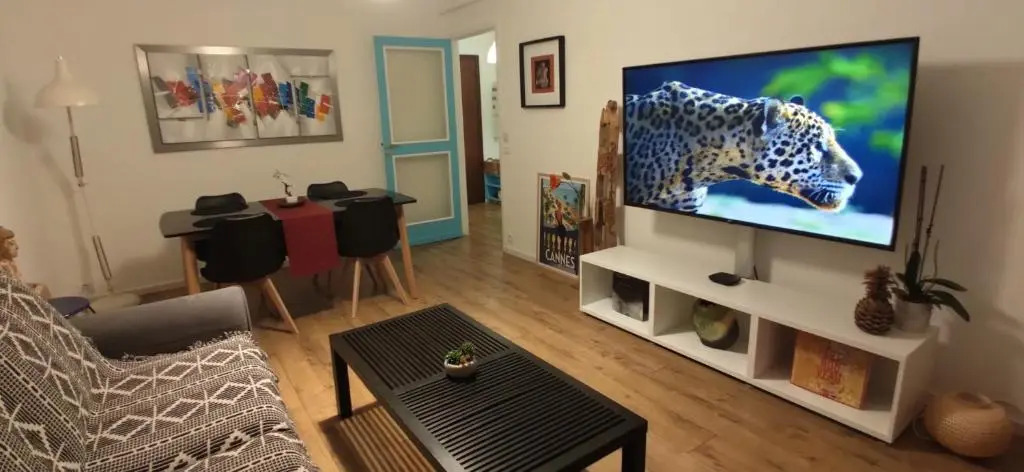 apartment 50m from historic town 5min Beach Palais Croisette - Free private parking