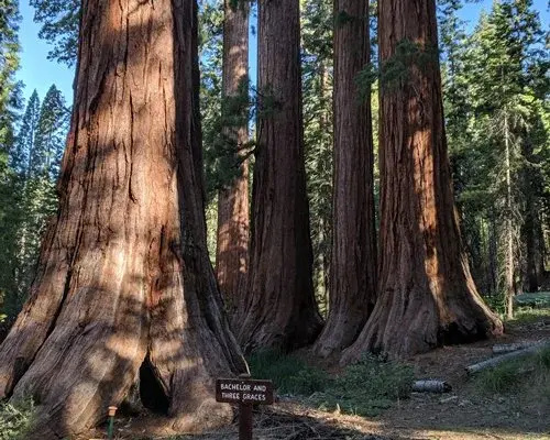 The Pines Resort - 5 Nights, Bass Lake, USA