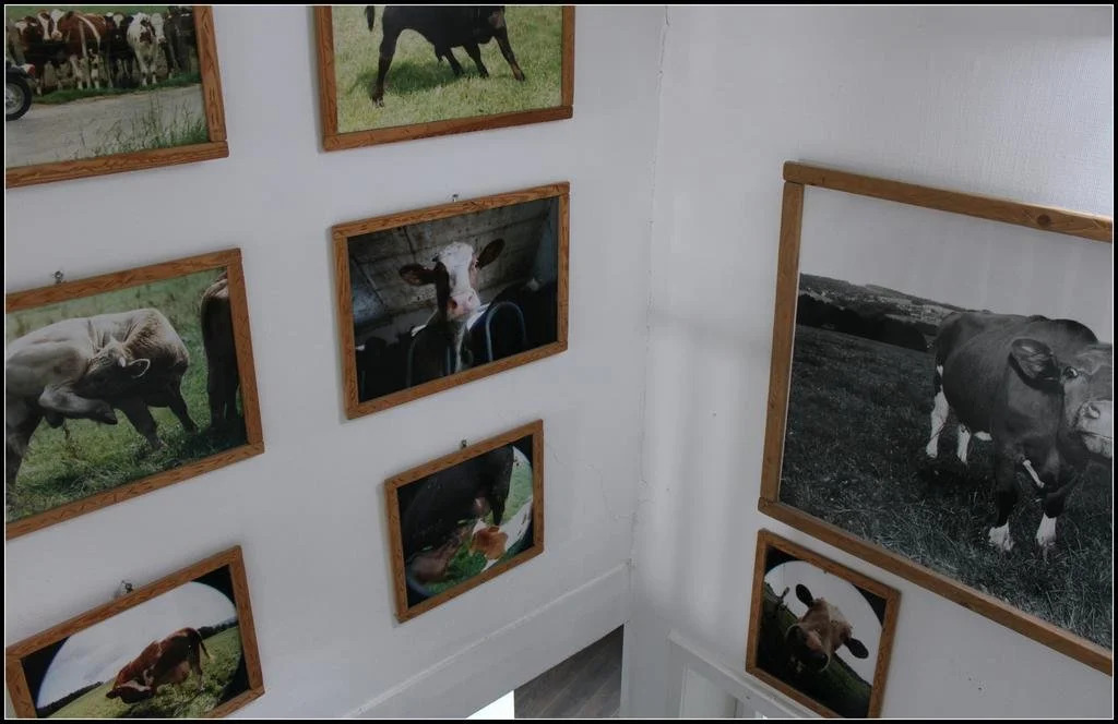 Hotel Artfarm