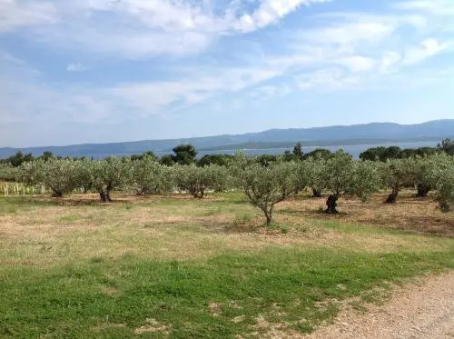 Holiday Home ZLATNI RAT (3543)