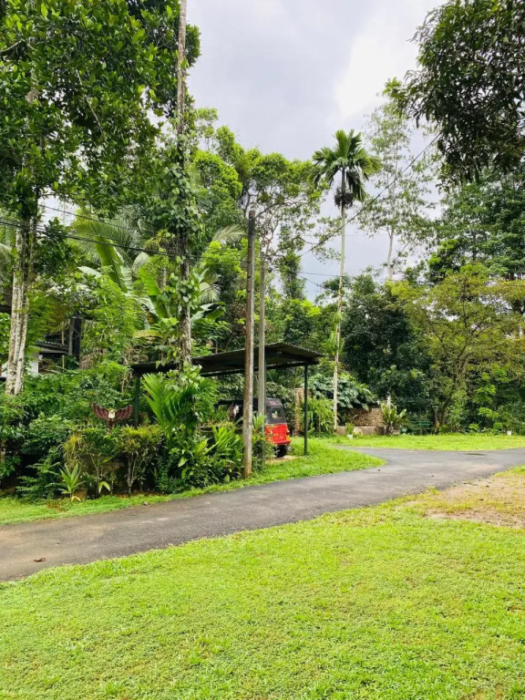 Summer Ridge - Homestay