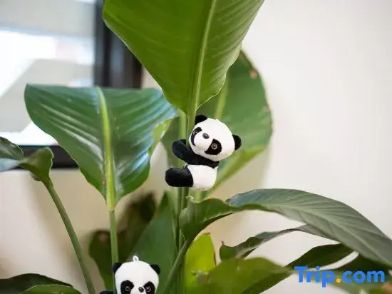 Quanzhou Xifan Original Homestay (West Street Kaiyuan Temple)
